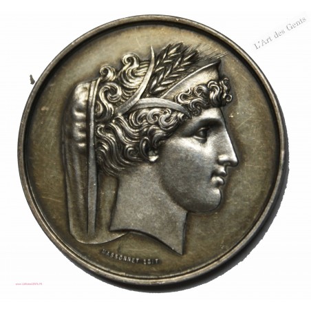 Médaille argent Agriculture L'YONNE 1856, lartdesgents.fr
