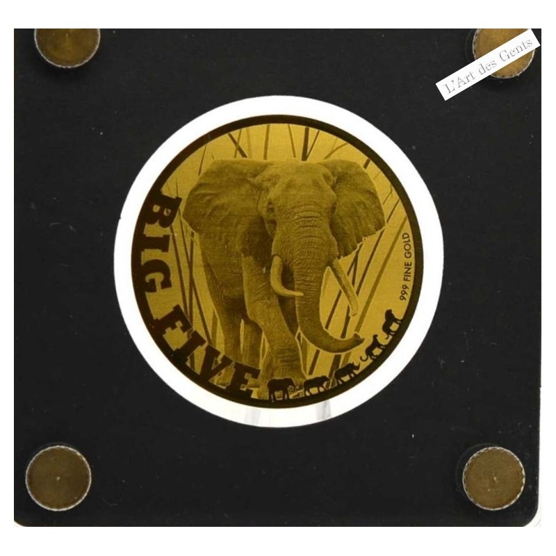 Big Five Tchad 2020 éléphant d'Afrique 1/200 oz épreuve or 5000 francs, lartdesgents.fr