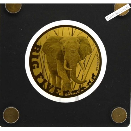 Big Five Tchad 2020 éléphant d'Afrique 1/200 oz épreuve or 5000 francs, lartdesgents.fr
