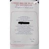 3 albums « L'HISTOIRE DE FRANCE en 100 MÉDAILLES » Vermeil Argent 925/00 environ 3800 g, lartdesgents.fr