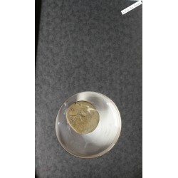 As SABINA (femme d' Hadrien) 117-136 ap JC cohen 83, lartdesgents.fr