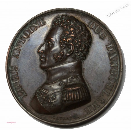 Médaille Louis Antoine Duc d'Angoulème 1815