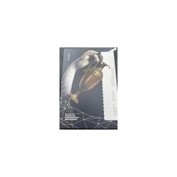 Coffret 2 Euros Commémorative Saint Marin 2022 Canova BU, lartdesgents.fr