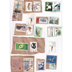 Chine - lot sur fragments  - lartdesgents.fr