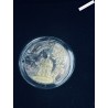 Coffret BE 10 euro 2016 Institut de France -  lartdesgents.fr