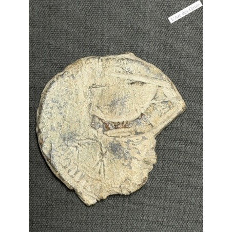 BULLE PRINCIPAUTÉ D'ORANGE - ANONYME (FAMILLE DE BAUX OU DE CHALON) XIV-XVe S., lartdesgents.fr